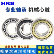 Harbin 6200 6200 6201 6202 6203 6204 6205 6206207 ZZ 6206207 2Z RZHRB