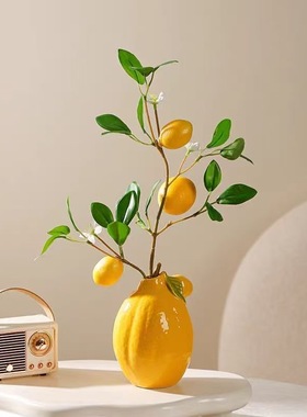 金龙堂北欧风水果柠檬花瓶摆件