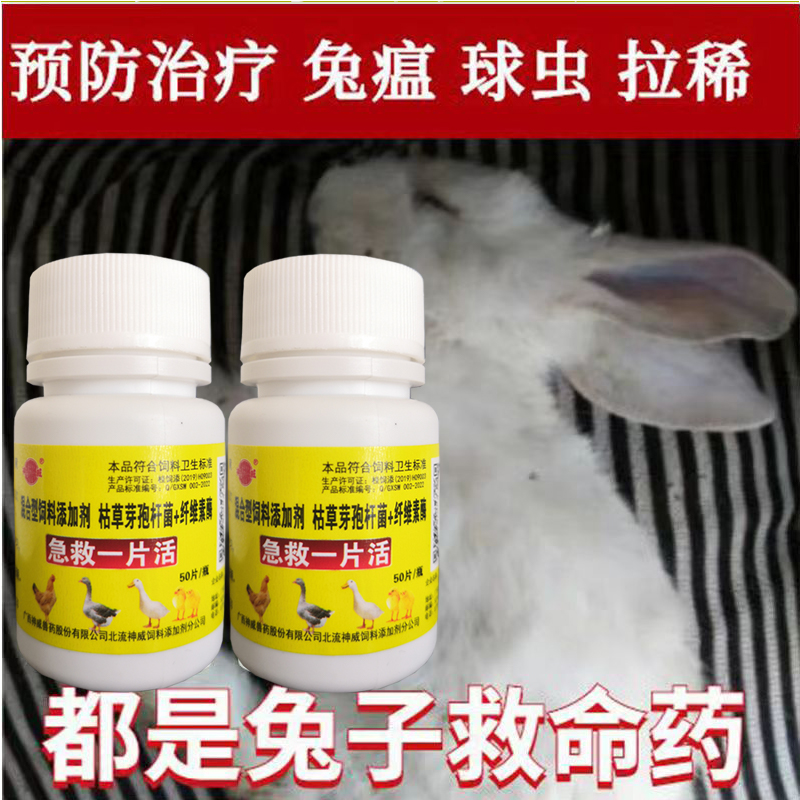 兔子全套宠物兔子拉肚子拉稀腹泻常用药软便驱虫球虫兔瘟预防常备 - 图1