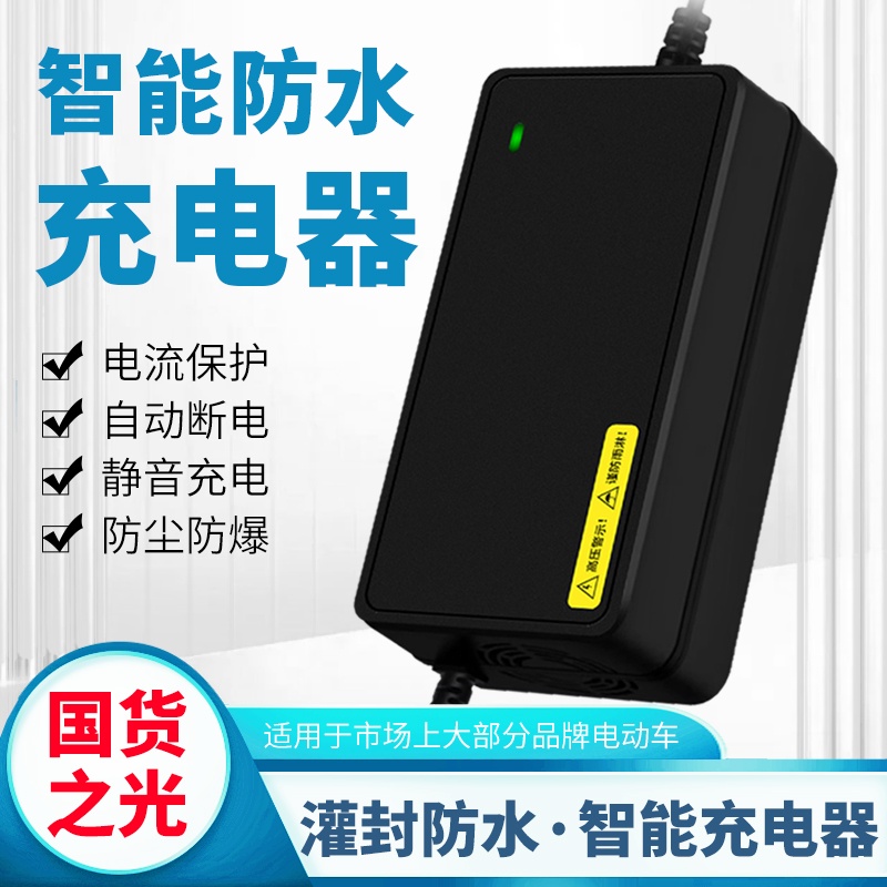 适用五星黑马电动车电瓶充电器48V12AH60V20AH72V32Ah40A正品通用 - 图0