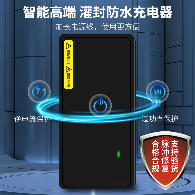 五星钻豹电动车电瓶充电器48V12AH20AH60V72V30A原装正品电车通用 - 图2