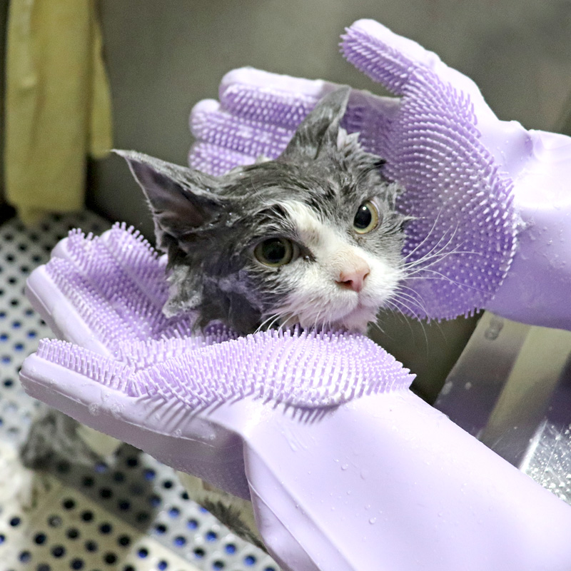 猫咪洗澡神器去浮毛搓澡手套带刷子撸猫按摩防抓咬狗宠物清洁用品