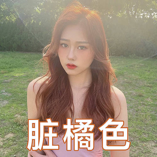 焦糖浅橘棕色染发剂膏植物蜜糖橘醇棕粉橘色2025泡泡脏橘色蜂蜜茶 - 图3