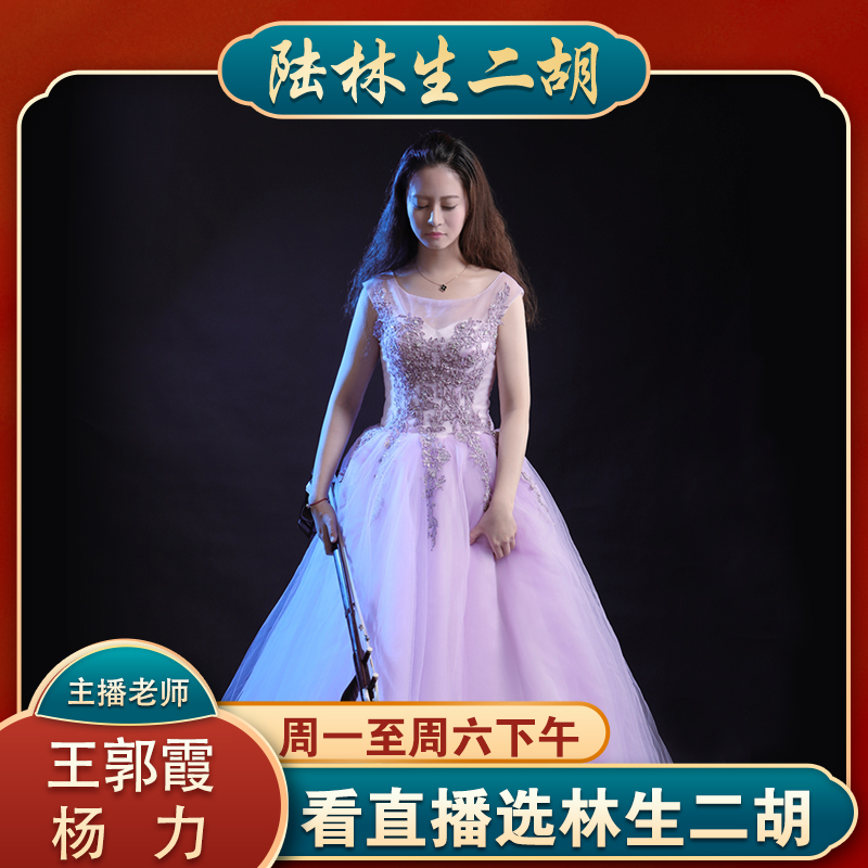 陆林生二胡三星专业红木彩标版入门初学考级演奏通用官方正品乐器 陆林生二胡三星专业红木彩标版入门初学考级演奏通用官方正品乐器