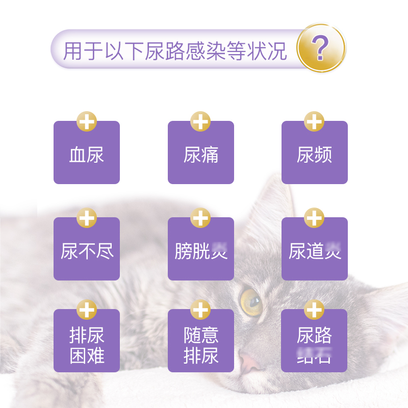 杜力德宠物乐乐宝狗猫尿频尿不尽排尿困难膀胱尿路健康营养品