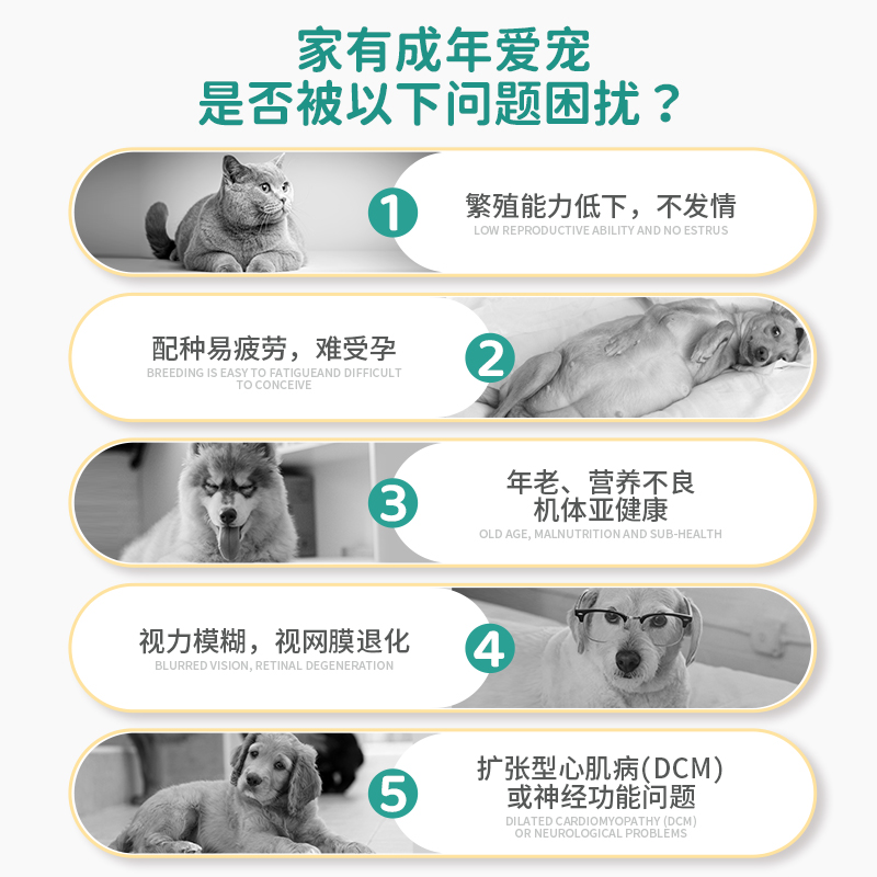 杜力德宠物尊育宝助狗狗猫咪配种繁育营养品