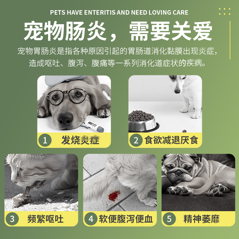 杜力德宠物肠炎宁狗狗猫咪肠炎肠粘膜损伤腹泻便血厌食犬营养滴剂