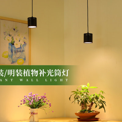 全光谱植物生长灯假山盆景多肉吸顶天花吊线防太阳光室内补光灯 虎窝淘