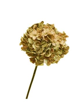 装花器家居展厅极简现代样