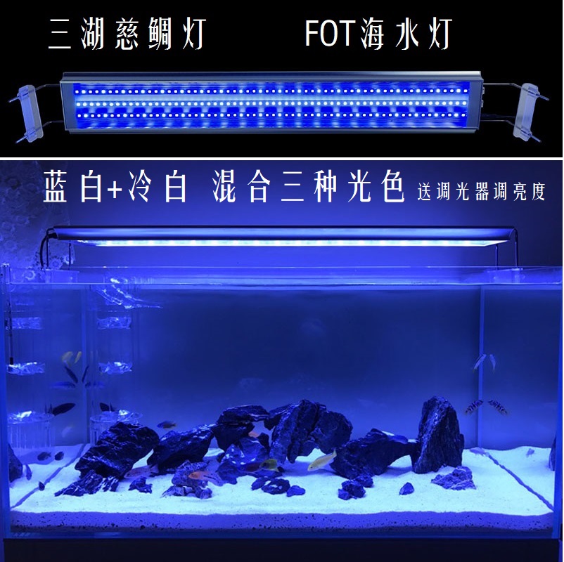海水魚燈 新人首單立減十元 22年10月 淘寶海外