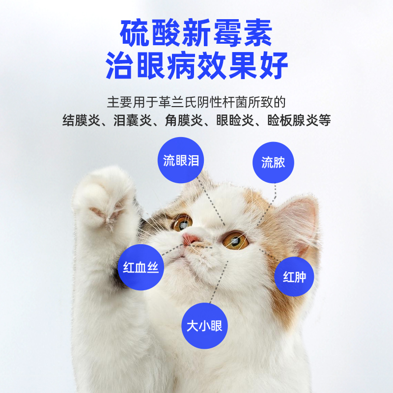 尼可润猫咪眼药水硫酸新霉素滴眼液眼睛流泪发炎宠物猫用消炎卜尼 - 图1