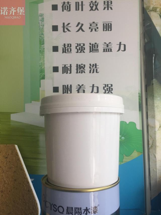 晨阳水漆内墙水漆家装水漆1L小桶分装墙面修补无味环保哑光乳胶漆-图0