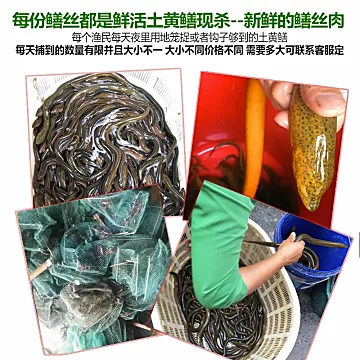 250g*2袋！新鲜现杀去肠去骨野生黄鳝鱼丝[70元优惠券]-寻折猪