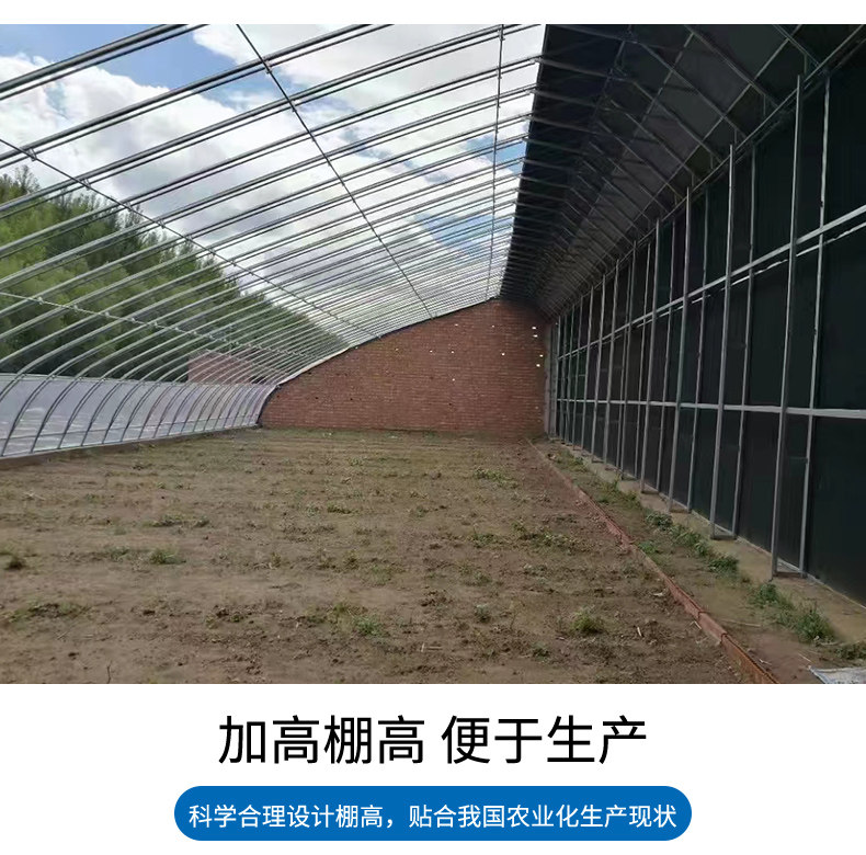 大棚骨架钢管温室定制养殖大棚蔬菜大棚连体连栋种植棚热镀锌全套