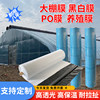 Greenhouse plastic film thickened agricultural film anti-aging plastic cloth high light transmittance po film non-drip film anti-fog longevity film
