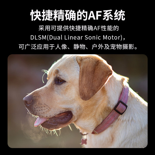 森养SAMYANG三阳AF85mm F1.4全画幅人像大光圈定焦单反镜头佳能EF - 图1
