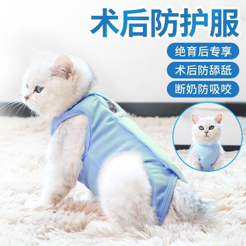 猫咪绝育服母猫手术服衣服透气戒奶服断奶服公猫防舔术后宠物猫猫 - 图2