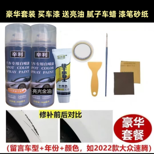 22款瑞驰新能源C35面包车漆银灰色专用自喷漆金属漆白色汽车补漆 - 图3