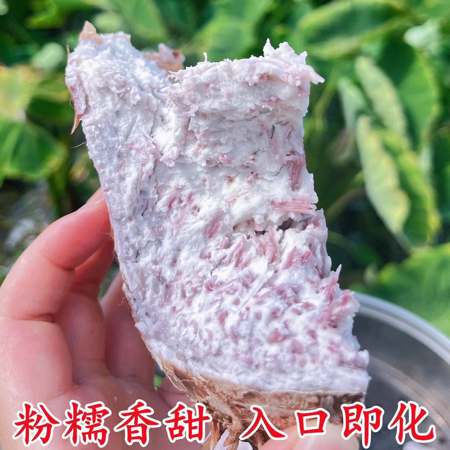 正宗新鲜广西荔浦芋头切片真空包装粉糯香芋泥火锅砂锅菜软糯香甜,淘宝优惠券,粉丝福利购,淘宝优惠卷