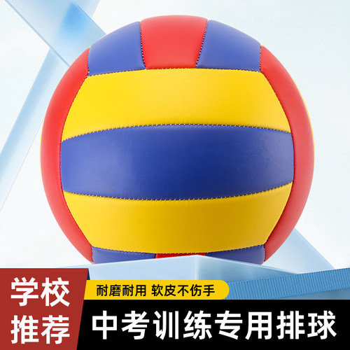 免费印名字中考专用5号排球成人初中小学生4号幼儿园儿童硬式软排 - 图0