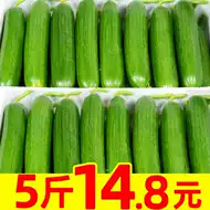 小青瓜花小黄瓜花 新人首单立减十元 21年8月 淘宝海外