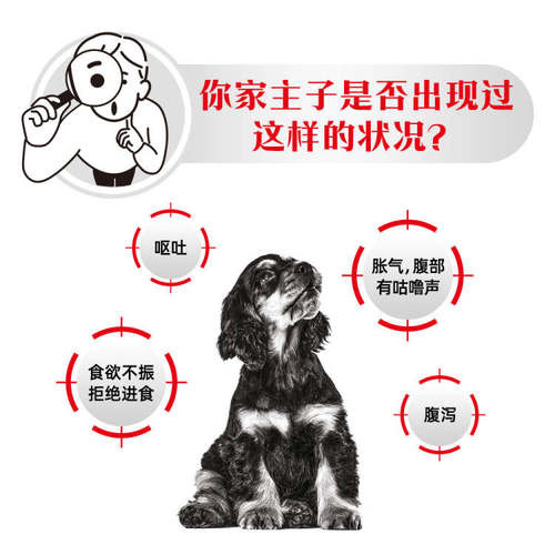 【官方正品】皇家狗粮幼犬肠道全价处方粮GIJ29促消化1.5KG*3 - 图1