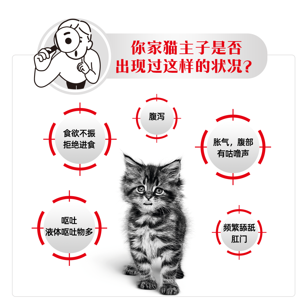 【直播会员专享】皇家幼猫肠道处方粮GIK35肠道调理呵护肠胃1kg*2