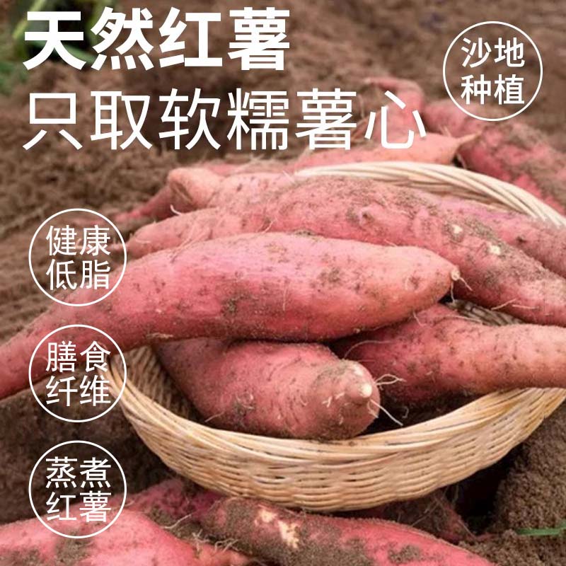 【新品】狗狗零食鸡肉绕红薯鸭肉绕红薯小型犬专用磨牙纯肉零食