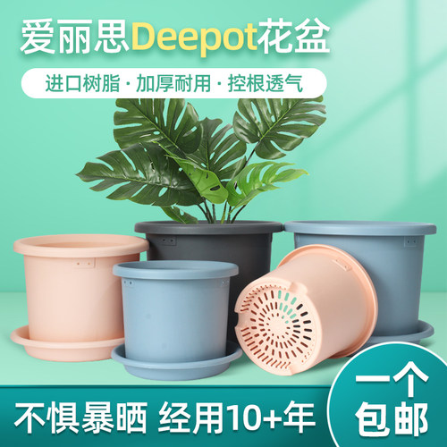 爱丽思Deepot蝴蝶兰君子兰专用绿萝加厚塑料树脂加仑爱丽丝花盆 - 图1