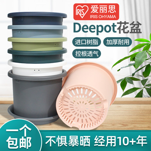 爱丽思Deepot蝴蝶兰君子兰专用绿萝加厚塑料树脂加仑爱丽丝花盆 - 图2