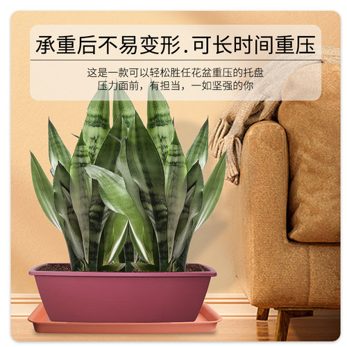 花博士加厚加深磨砂树脂长方形多肉绿植花卉托盘塑料地面接水盘 - 图0