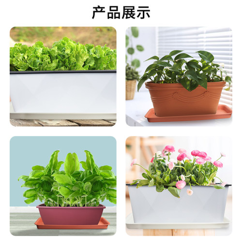 花博士加厚加深磨砂树脂长方形多肉绿植花卉托盘塑料地面接水盘 - 图3