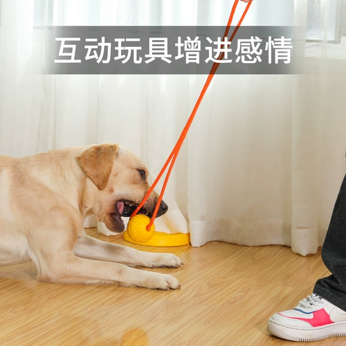 Игрушка для собак, шлифовальный зуб, шлифовальные артефакты снятия зубов, круги, крупные собаки золотой ретарин, многопроводные принадлежности для собак лабра