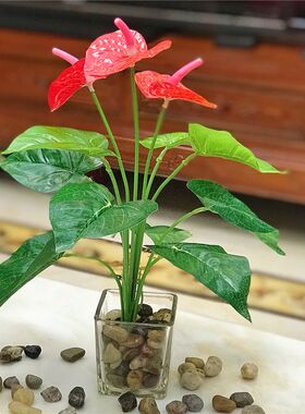 含玻璃杯仿真花摆件假四叶草小盆栽家居客厅桌面假花装饰绿植盆景