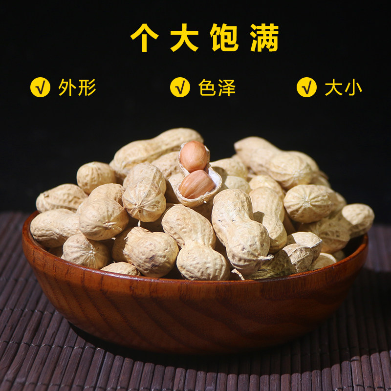 升泉小珍珠原味炒花生袋装熟花生 升泉食品花生