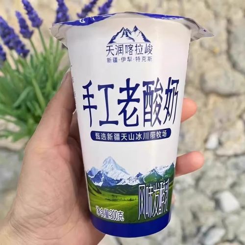 天润酸奶新疆特产网红喀拉峻300g手工老酸奶风味奶营养早餐酸牛奶 - 图1