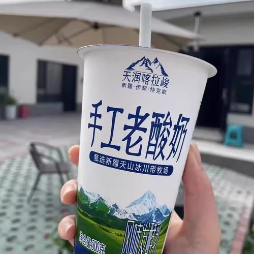 天润酸奶新疆特产网红喀拉峻300g手工老酸奶风味奶营养早餐酸牛奶 - 图2