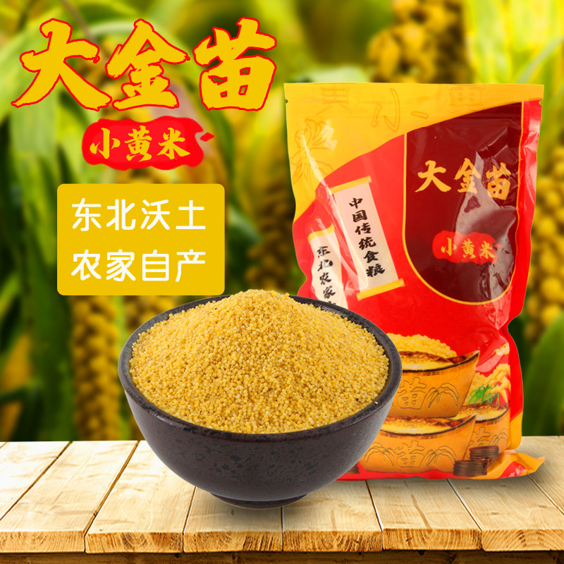 东北农家自产五谷小米粥2斤黄小米 燕迎春小米