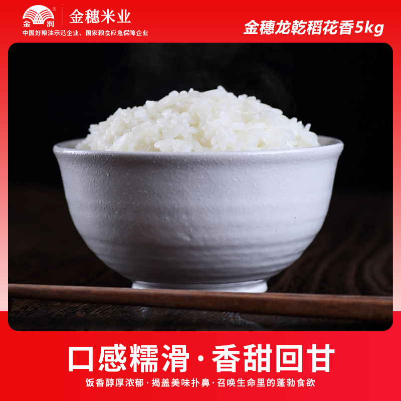 【金穗大米】五常稻花香 龙乾稻香米 当季新米 东北大米5kg 十斤 - 图2