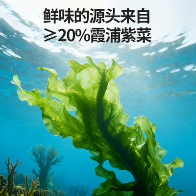 力诚宝宝儿童肉松拌饭海苔碎高钙铁硒高蛋白紫菜宝宝健康营养零食