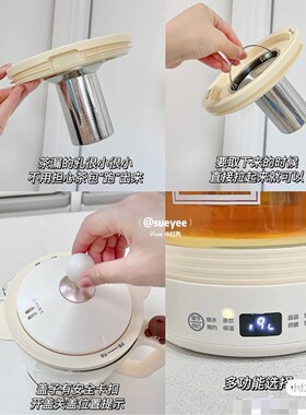 七彩叮当养生壶城堡家用多功能高硼硅玻璃煮茶器小型办公室烧水杯
