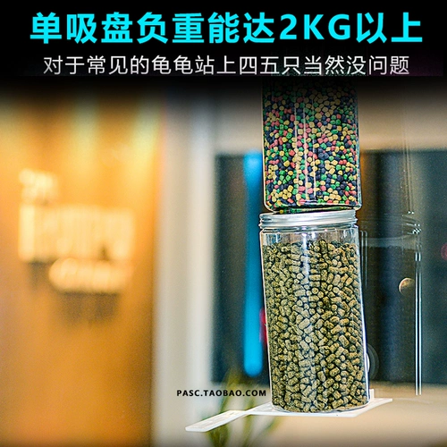 Бразильские черепахи Черепаха Желтая края черепахи добавки кальция