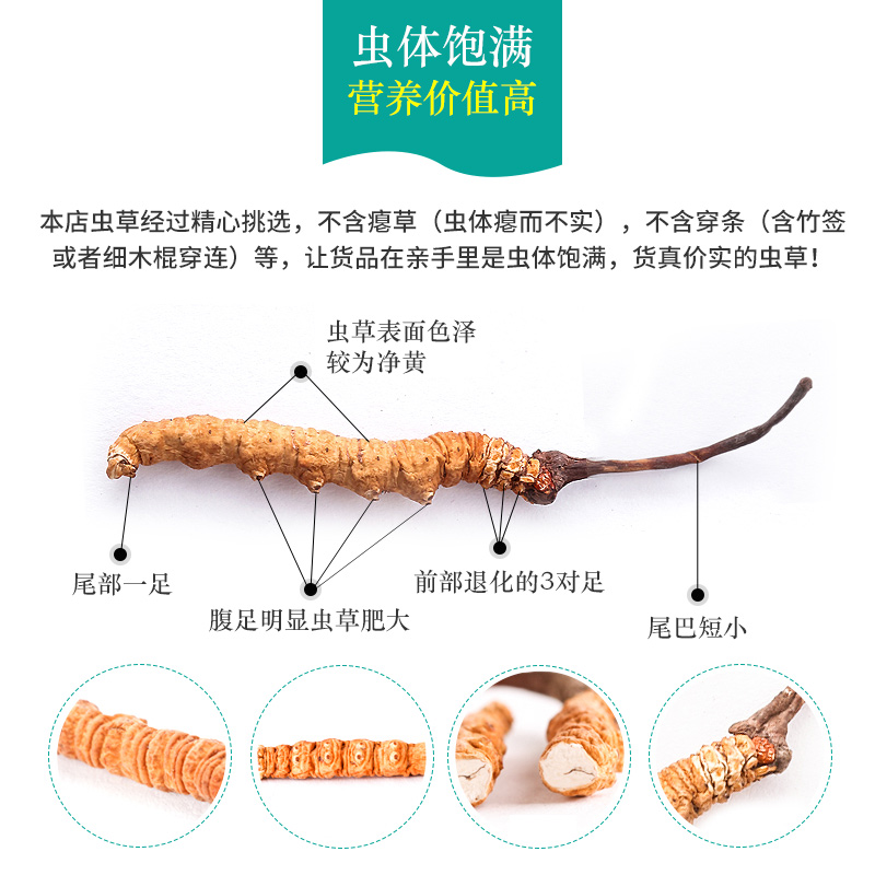 冬虫夏草正品2024头期虫草冬虫草送礼整草干货礼盒装非西藏那曲 - 图3