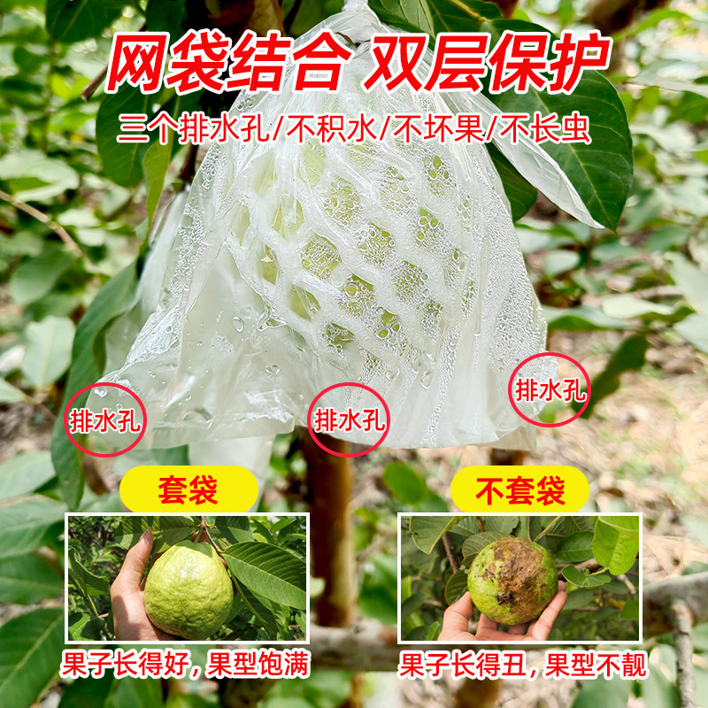 番石榴套袋防虫网袋专用一体泡沫包装袋石榴加厚袋芭乐水果网套,淘宝优惠券,粉丝福利购,淘宝优惠卷