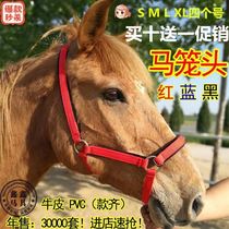 Horse cage head horse with full board cage sleeve equestrian items size short Malone head buy 10 for 1 loss of this special price