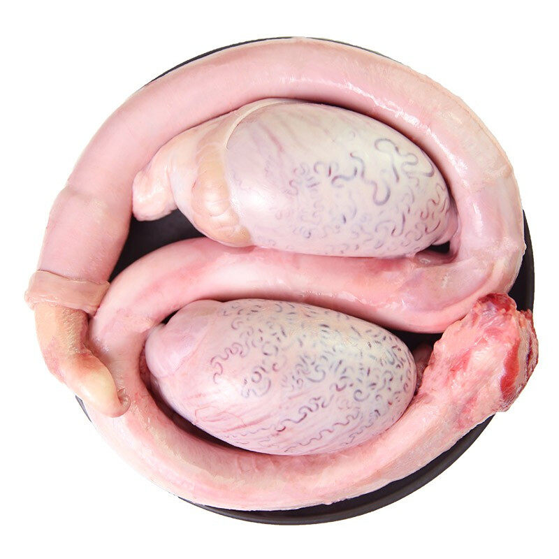 牛鞭新鲜牛三宝整套牛宝花牛杂牛蛋 闻鸣牛杂类