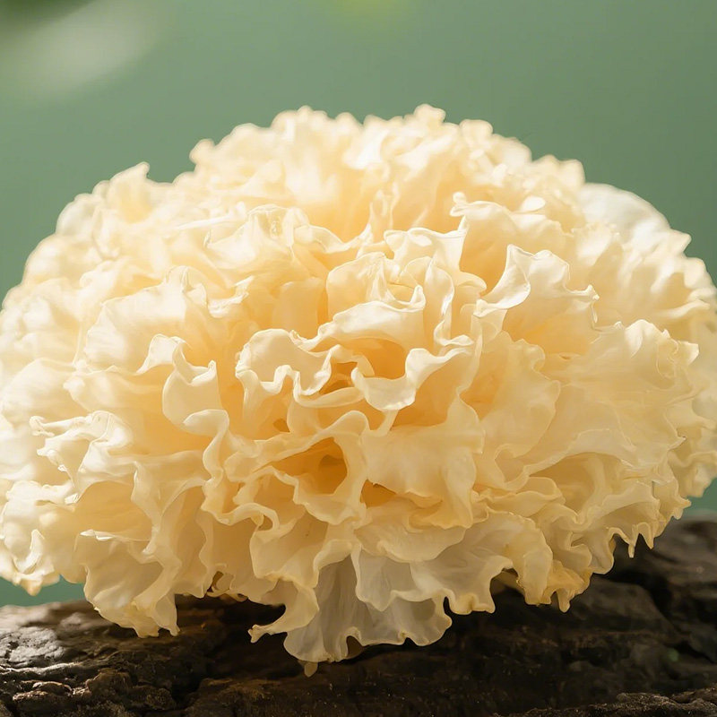 【30克X3包】菌妍有机银耳古田干货白木耳莲子羹丑耳雪耳独立小包