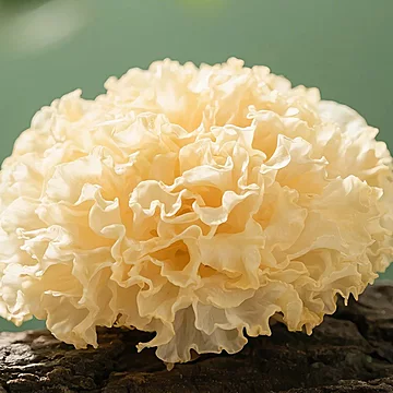 菌妍！有机银耳30克X3包[10元优惠券]-寻折猪