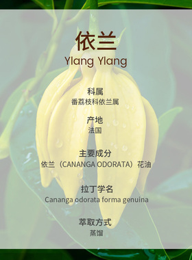 100%纯植物依兰精油依兰花单方香薰精油按摩情调舒缓护发护肤养肤