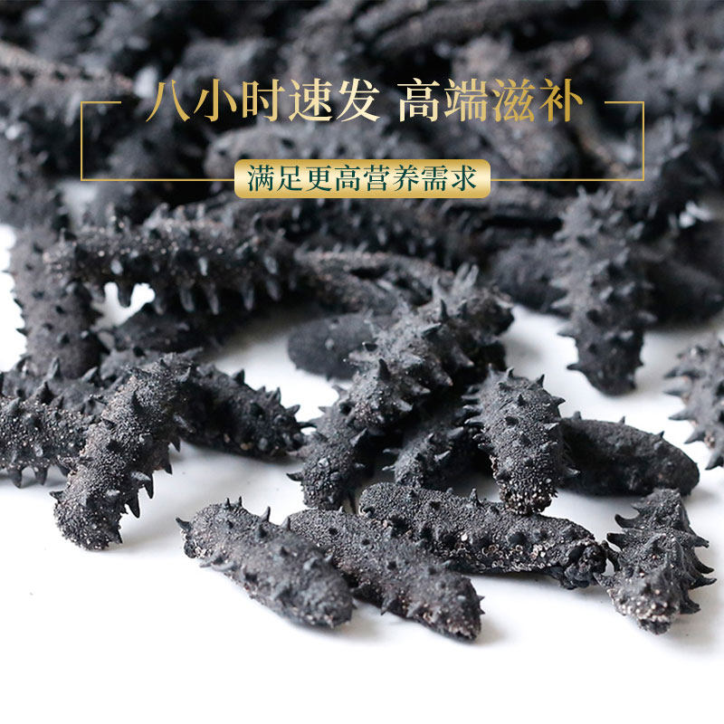 锦食岛免煮速发海参50g海渗干辽参 锦食岛明歌干品/即食海参